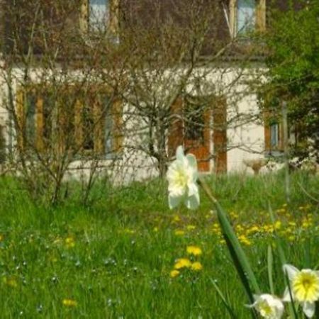 Chambres D'Hotes Les Pierries Vezannes ภายนอก รูปภาพ