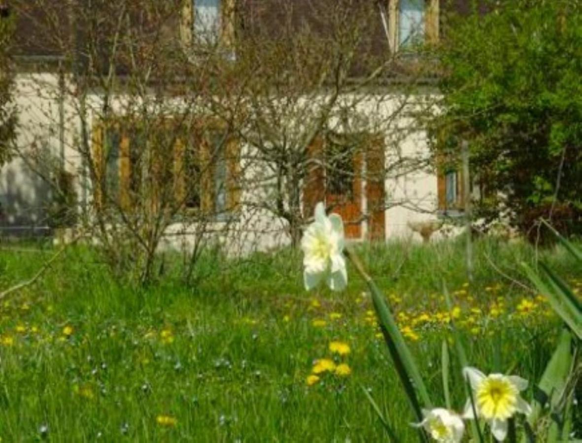 Chambres D'Hotes Les Pierries Vezannes ภายนอก รูปภาพ